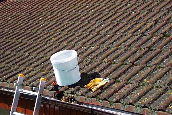 rengöring och underhåll av tak